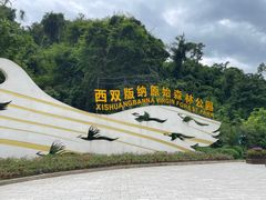 -西双版纳原始森林公园