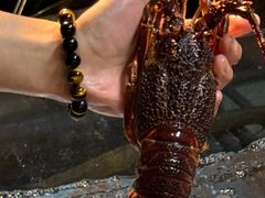 -黑木原精致料理·铁板烧