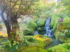 -Chom Cafe and Restaurant