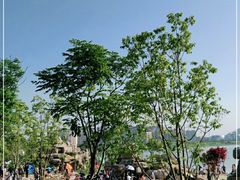 -九龙湖公园