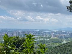 -鼎湖山风景区