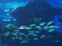 -成都浩海立方海洋公园