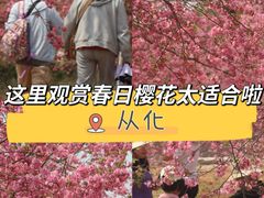 -天适樱花悠乐园