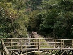 -东天目山风景区