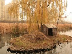 -前关湿地公园