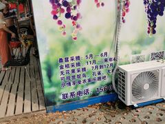 -武汉世外桃源农庄