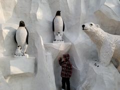 -白鹿仓冰雪海洋世界