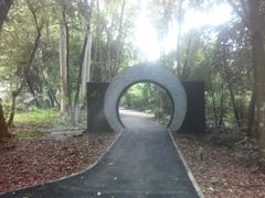 -南宁良凤江国家森林公园