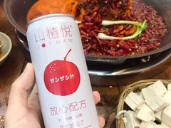 -四小区火锅·巷子里的重庆火锅(花照壁店)