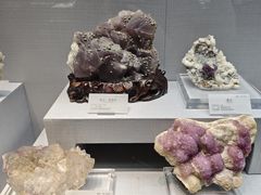 -湖南省地质博物馆