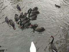 -长白岛森林公园