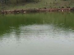 -永泰中国云顶