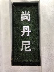 -尚·丹尼Hair