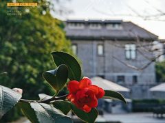 -颐和路民国时期公馆风貌区