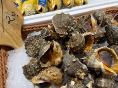 -船梆煮•蒸汽海鲜·炉火烤肉(五四广场店)