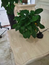 -雪儿海蒂·女性私密整形专科