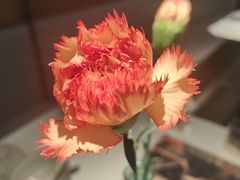 -潮堂 · 潮州菜(人广来福士店)