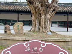 -苏州文庙(姑苏区)