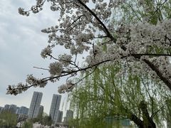 -堤角公园