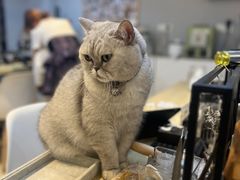 -Oasis绿洲银饰珍珠手作diy(壹方城店)