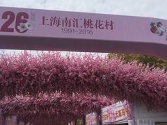 -南汇桃花村