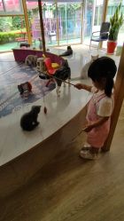 -萌宠亲子动物乐园(槐房万达店)