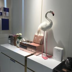 点击看大图 -INNEREAL英妮芮医疗美容
