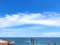 -广东惠东海龟国家级自然保护区