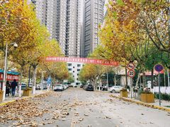 -西北大学(桃园校区)