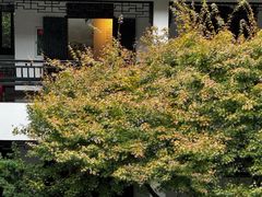 -中国湖笔博物馆(莲花庄路)