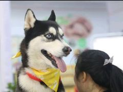 -瑞派蒂凯宠物医院·免疫点·宠保定点