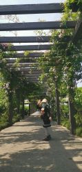 -太湖雪蚕桑文化园
