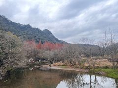 -五泄景区