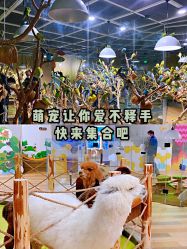 -七巧国萌宠乐园(龙湖天街店)