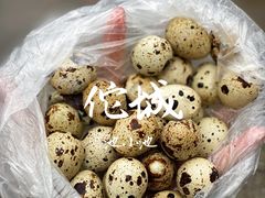 -龙川佗城