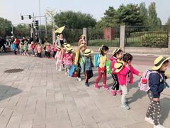 -杨梅红艺术教育(北京金源购物中心校区)