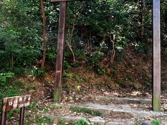 -狮子山郊野公园