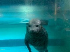 -嘉兴海底世界