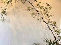 -小茶闲舍·观景商务茶馆(广州塔店)