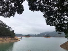 景点-广州市流溪河国家森林公园