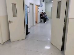 -上海市东方医院(总院)