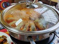 -弘烨 贵州酸汤 鱼火锅(东财店)