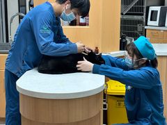 -联合动物医院(光谷诊疗中心)