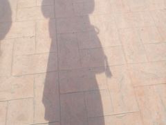 -凤凰欢乐大世界