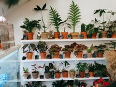 -花点时间(蓝色港湾店)