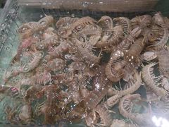 -阿伟海鲜楼·福建菜(延寿店)