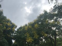 -苏州河梦清园环保主题公园