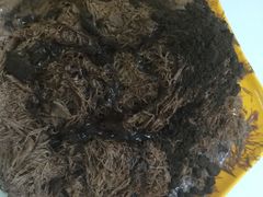 -冰冰酱老味刨冰绵绵冰(中山路总店)