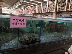 水产区-渔民新村(番禺总店)