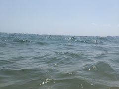 -海滨浴场